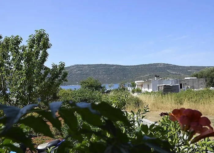 Erdgeschosswohnung- Erste Reihe Vom By Interhome Apartment